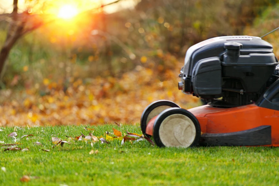 Boosting Curb Appeal With Expert Lawn Care Services in Dayton, TN