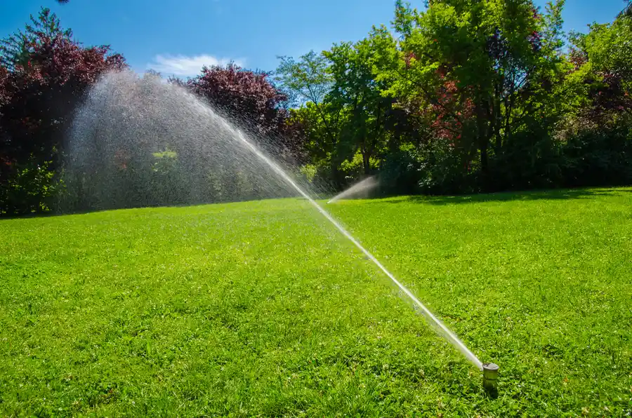 Choosing The Right Irrigation System For Your Landscape in Dayton, TN