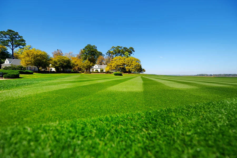 Lawn Care Mistakes Every Landscaper Should Avoid in Dayton, TN